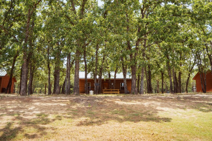 Cabins surrounded by trees under a clear sky.